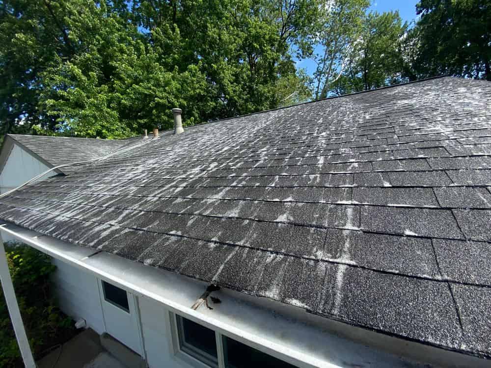 Roof Washing Services image