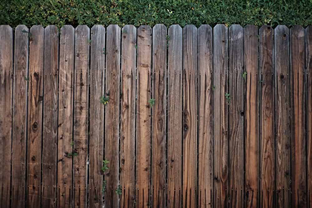 Fence Cleaning Services image