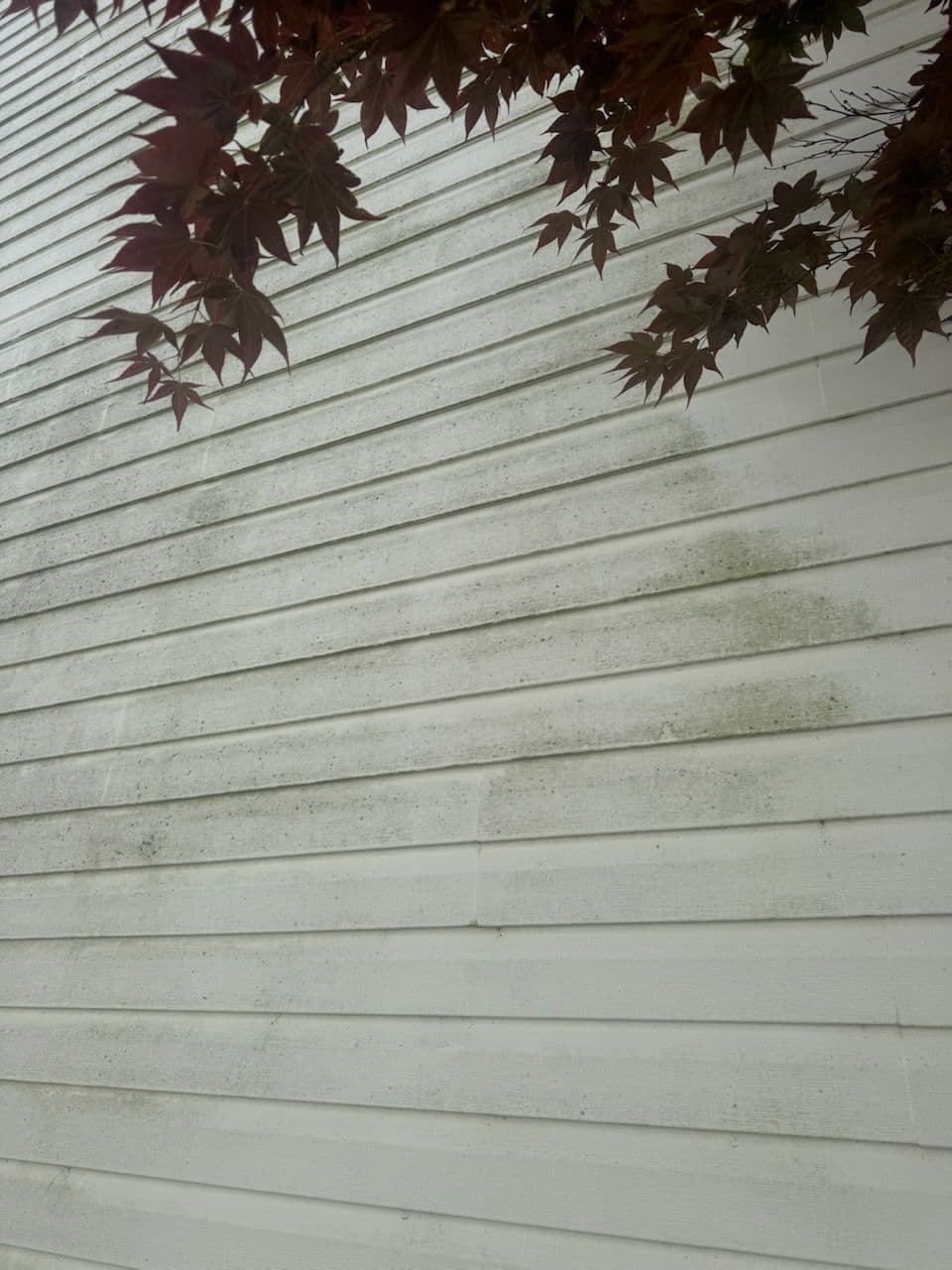Soft Wash Makes Saint Peters Home Shine